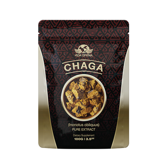 CHAGA EXTRACTO